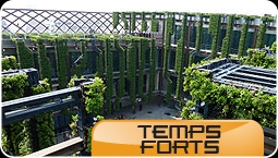 Temps forts